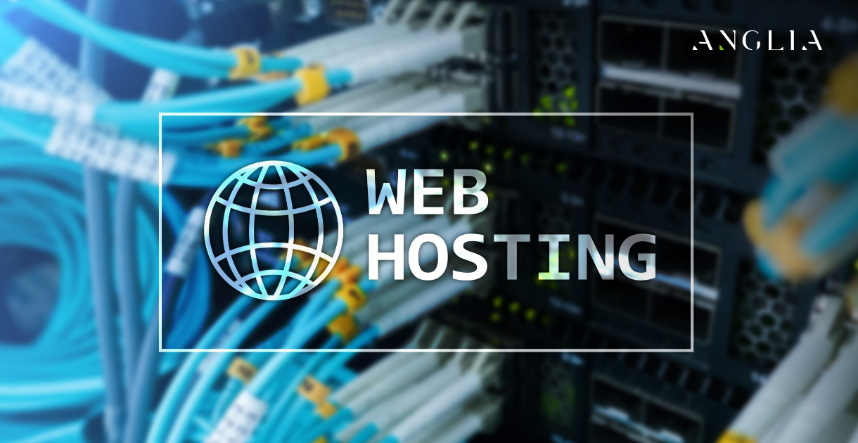 Shared vs. VPS vs. Dedicated: Choosing the Right Web Hosting for Your Business